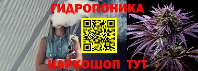 стаф Краснодар