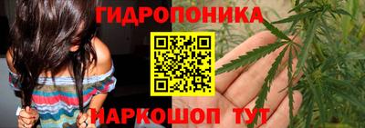 стаф Краснодар